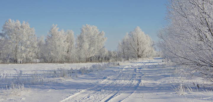 Зимняя дорога рыбаков.