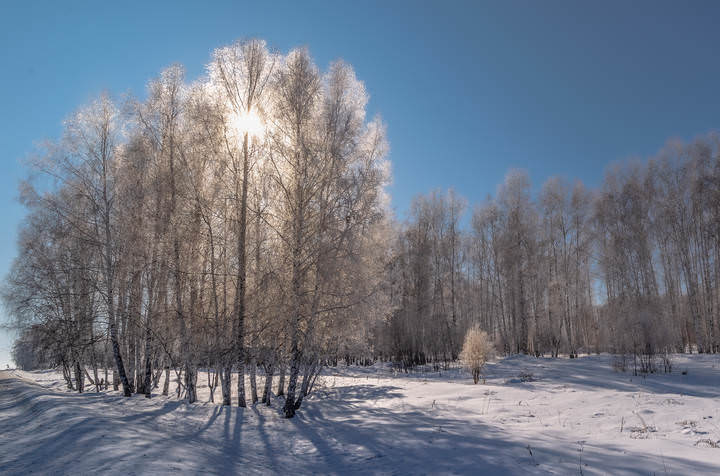 "Пойманное" солнце