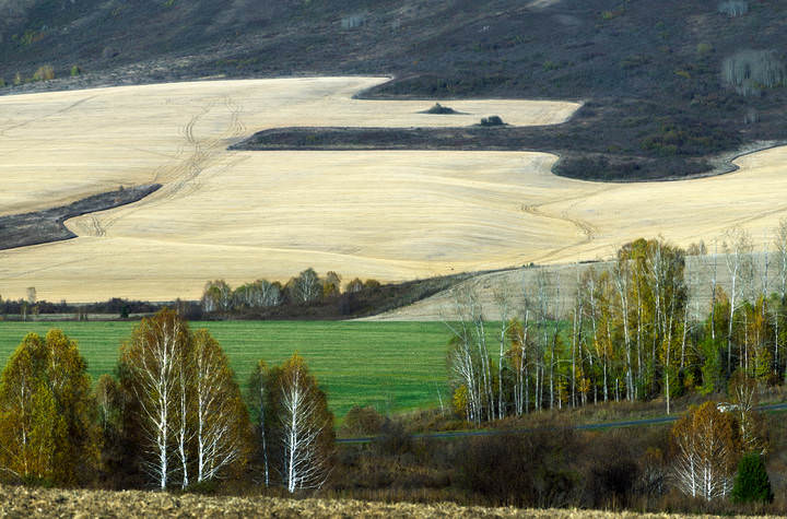 Осень