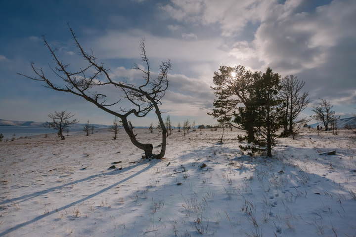 Маломорский ландшафт