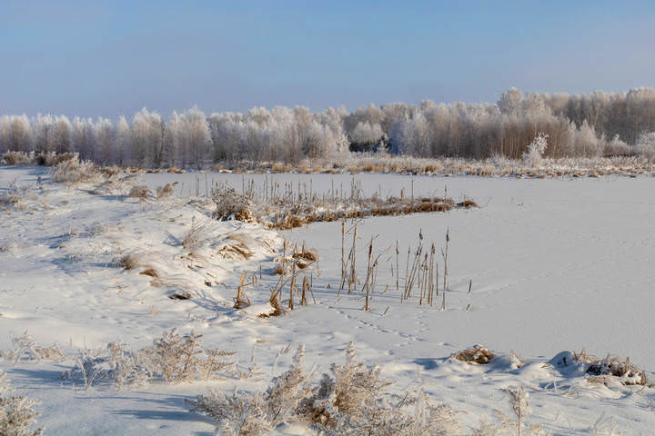 В морозный, зимний день.