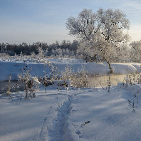 Зимние зарисовки