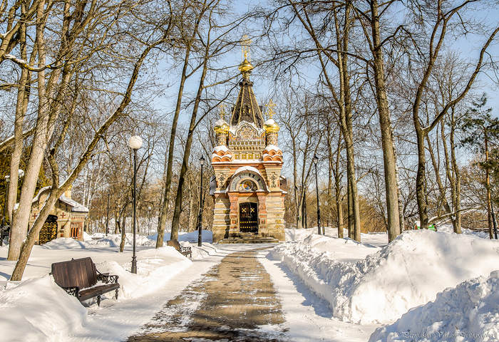 В зимнем парке