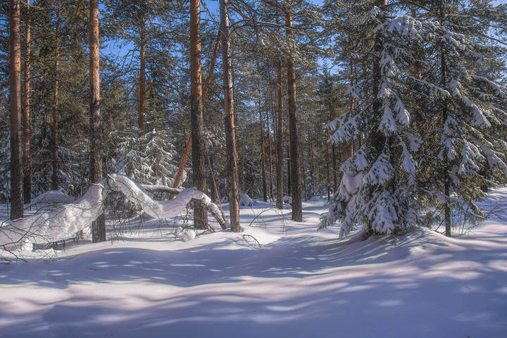 Снежное покрывало