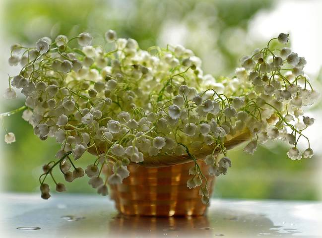 Привет из дней весенних.