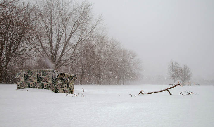 Рояль в кустах