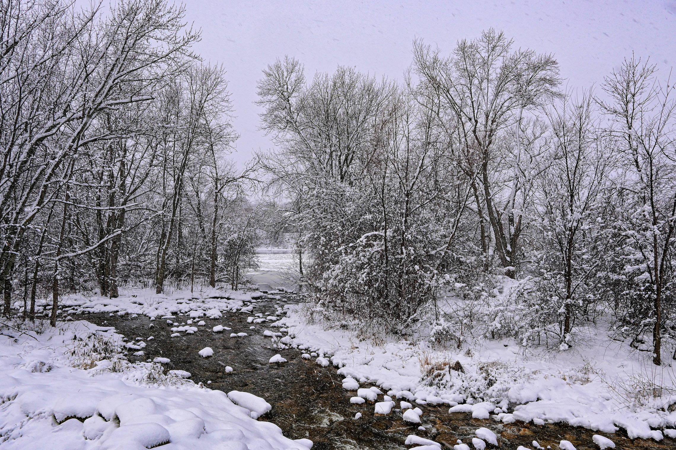 Графика зимнего ручья при сильном снегопаде.