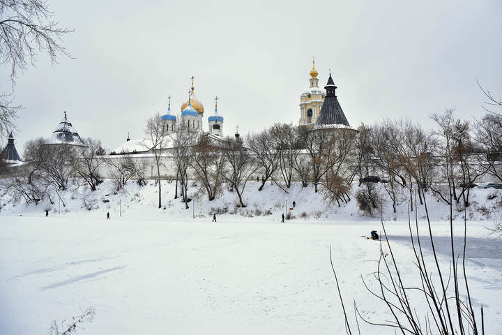  Новоспасский монастырь