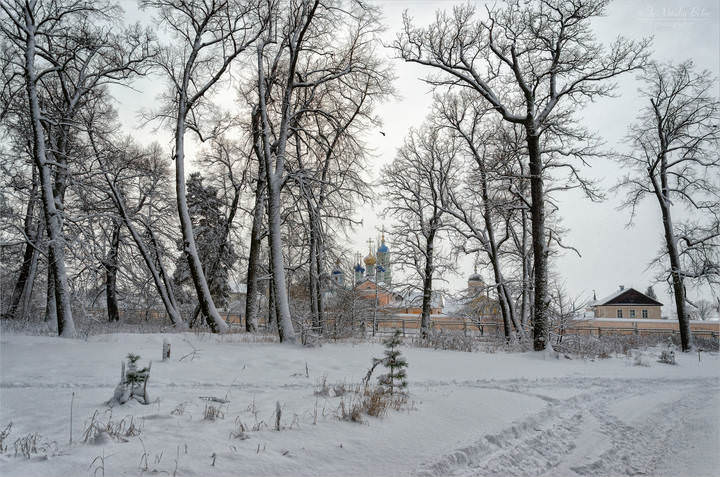 На окраине леса