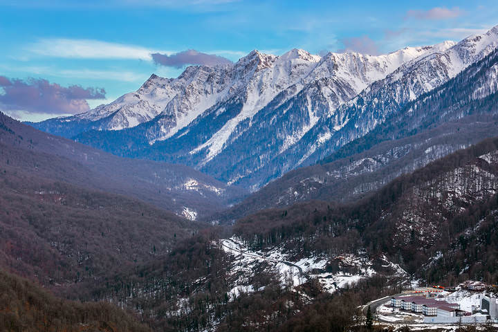 Роза хутор