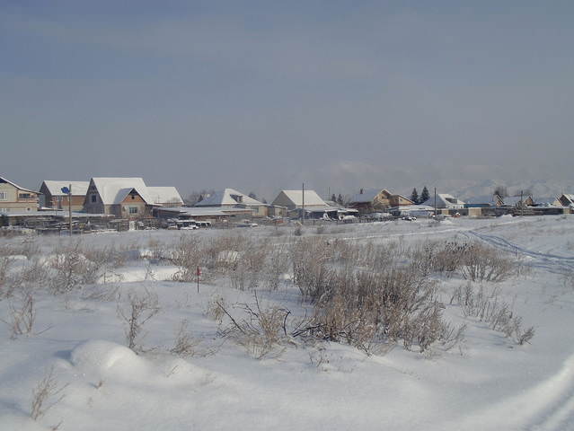 Казахстанская деревня . Конец января .