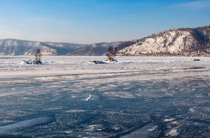 Берёзы в Байкале.