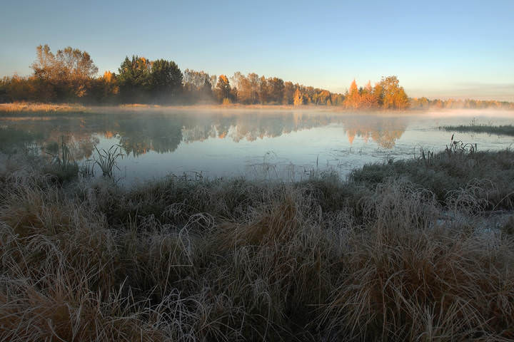 Морозным утром