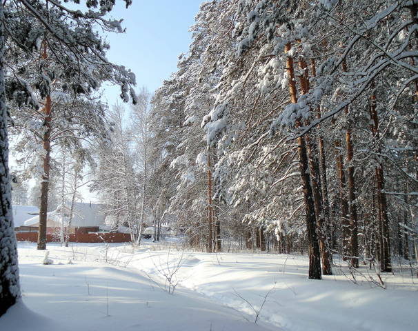 За околицей.