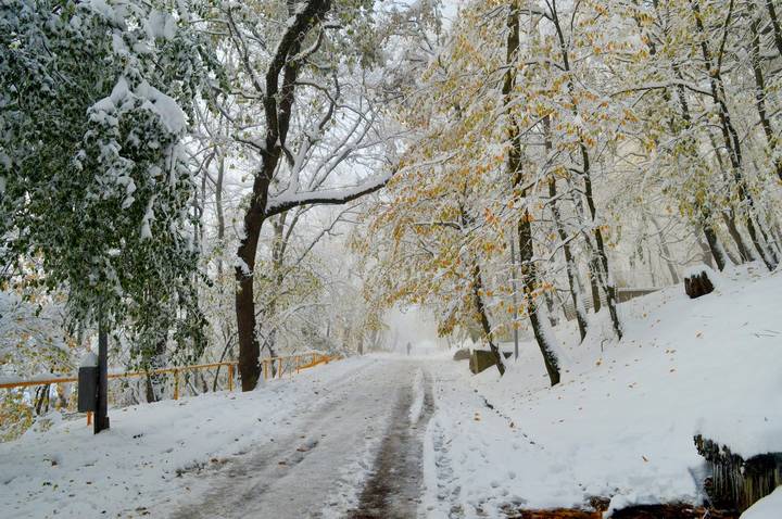 В осеннем парке.......