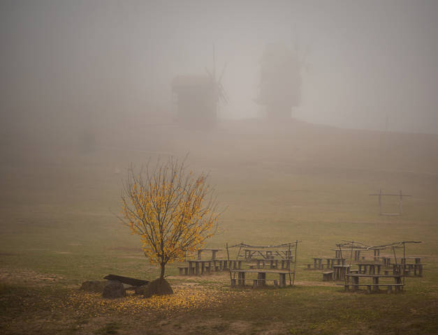 Пирогово осень