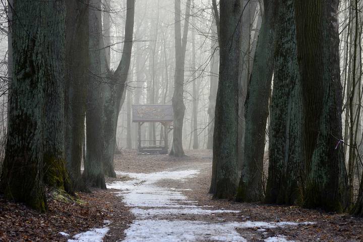 В весеннем парке...........
