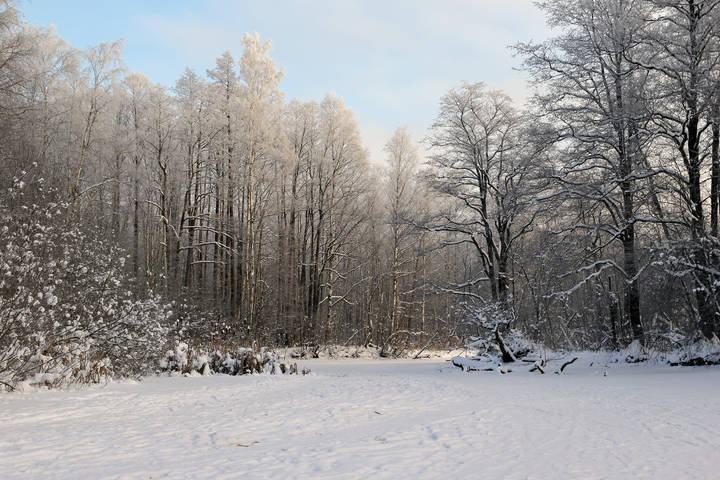Юнтоловский заказник