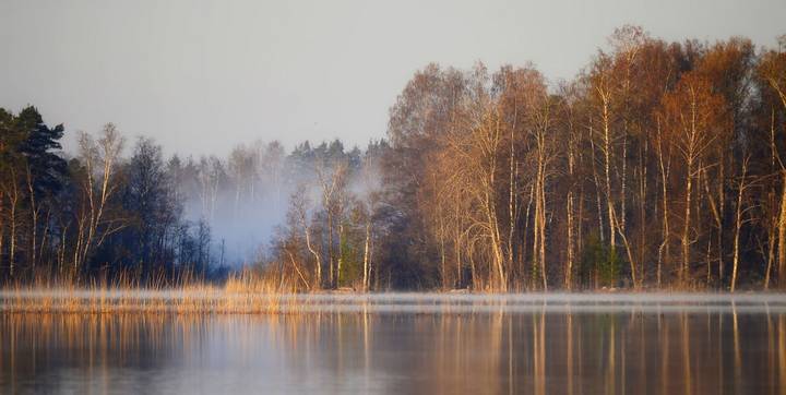 Утро весеннее...........