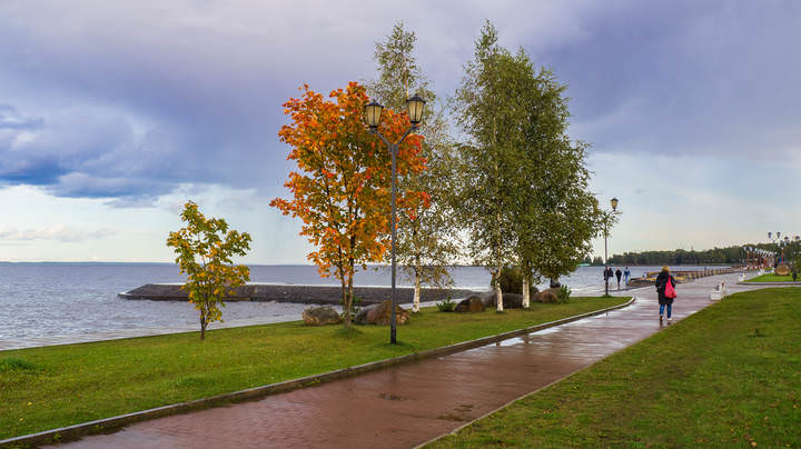 Осень