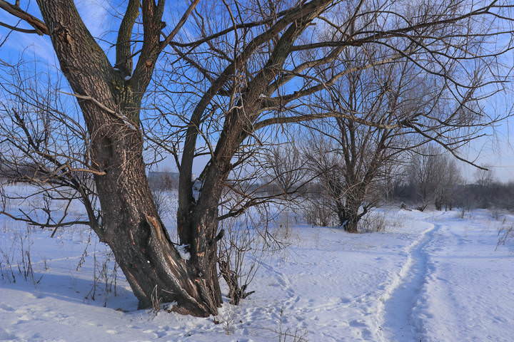  Утренняя тишина.