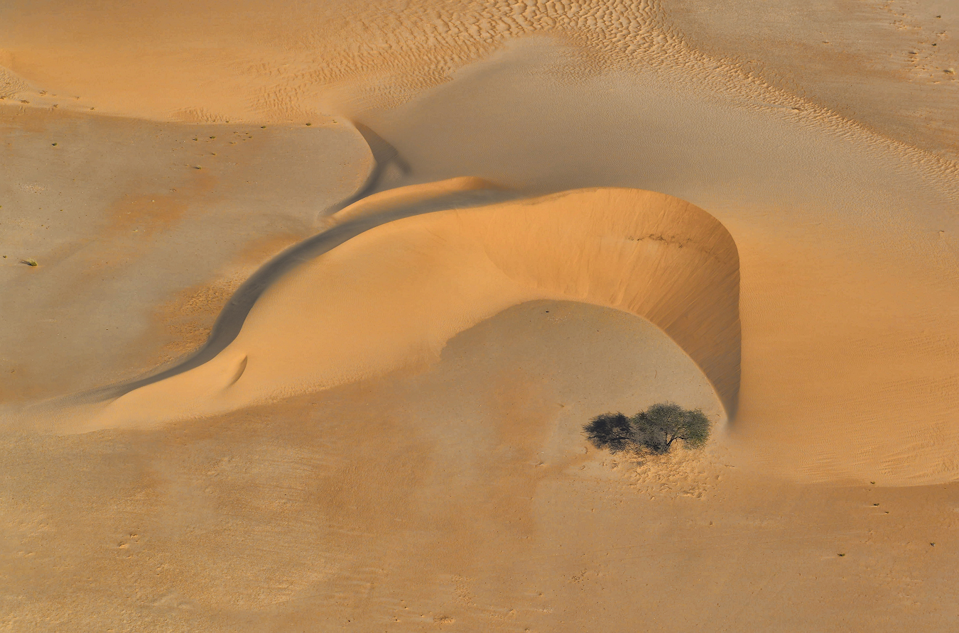 Живые пески Сахары...