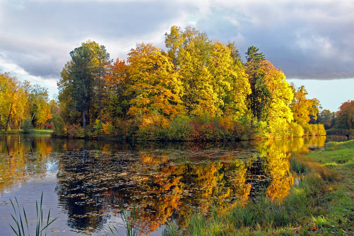 Павловск
