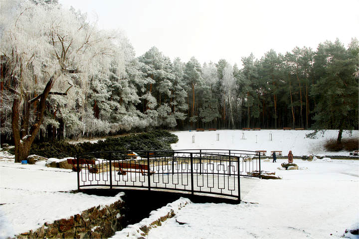 Заневский парк фото сейчас