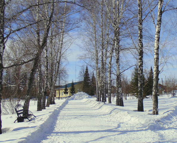 Весенние зарисовки в парке.
