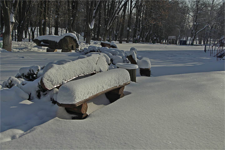 В зимнем парке