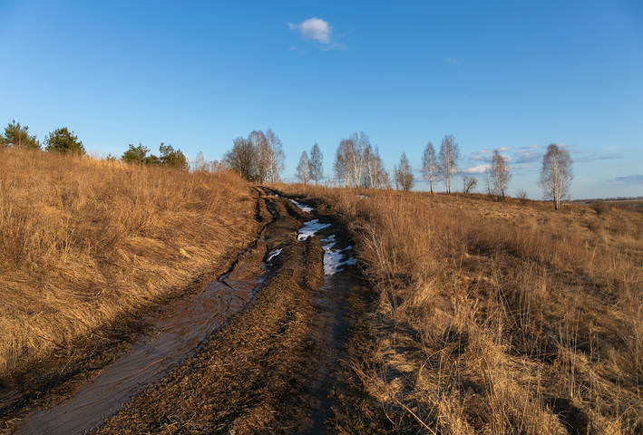 Весенняя дорога