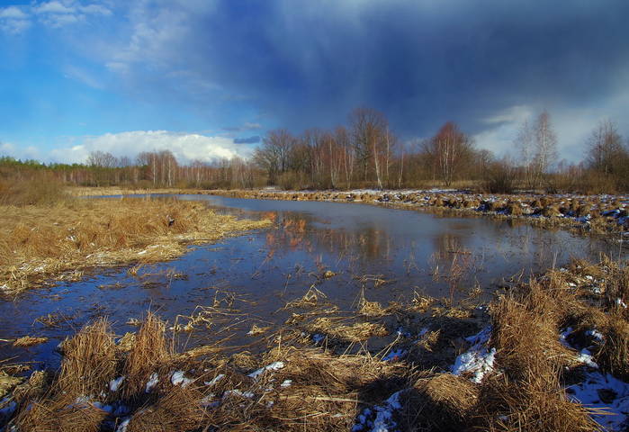 Весна