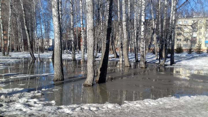 Весенний этюд.