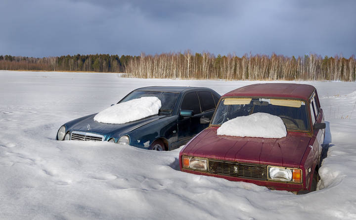 Первые подснежники