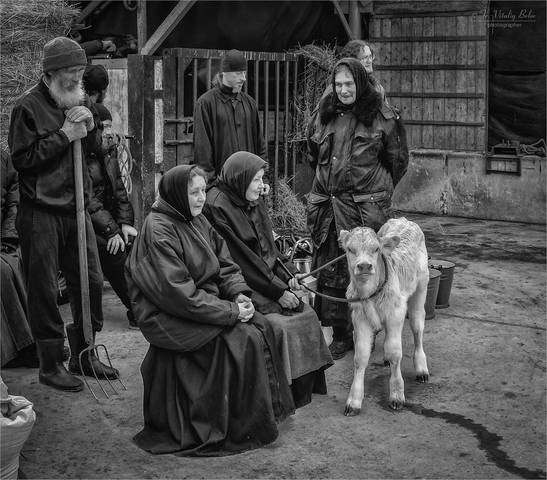 Портрет с теленком