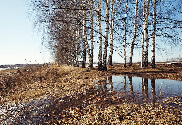 весна