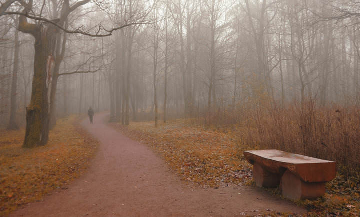 The BencH