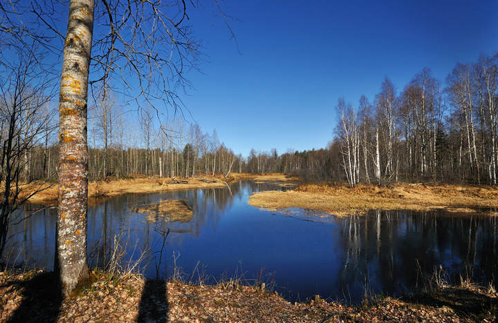 Апрель