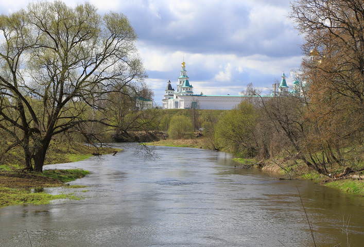 нежная зелень апреля