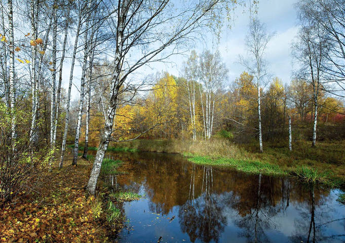 ОСЕНЬ