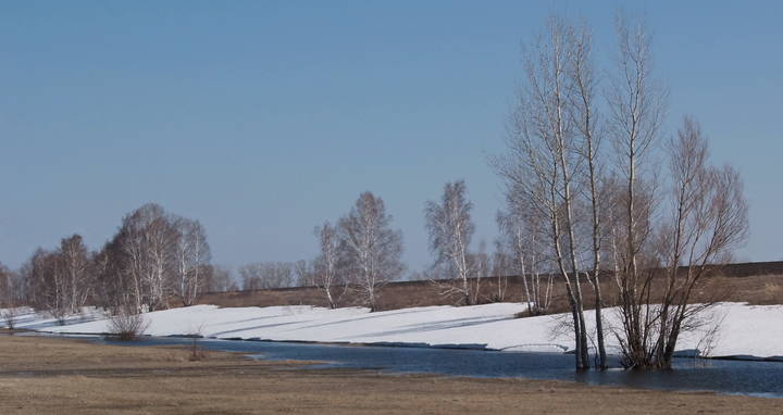 Весенний месяц,апрель.