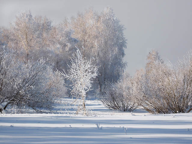 Где-то за городом