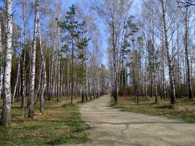 Весна майская .