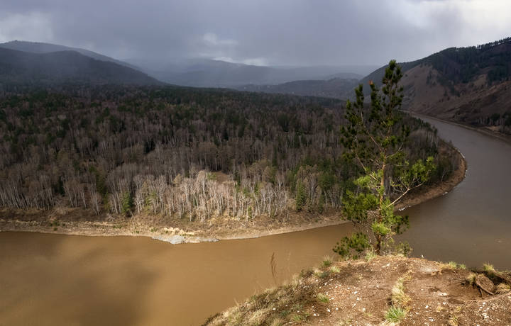 Талые воды реки Мана.