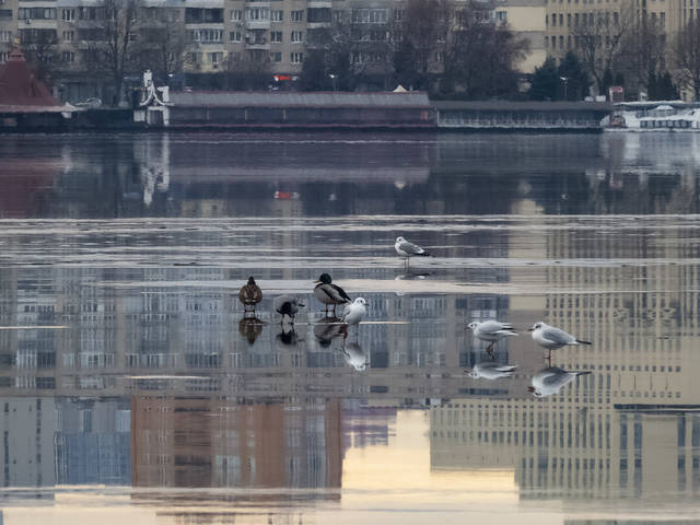 Прогулки по воде. Оттепель