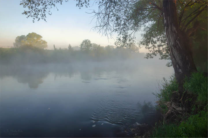 Раннее утро на реке