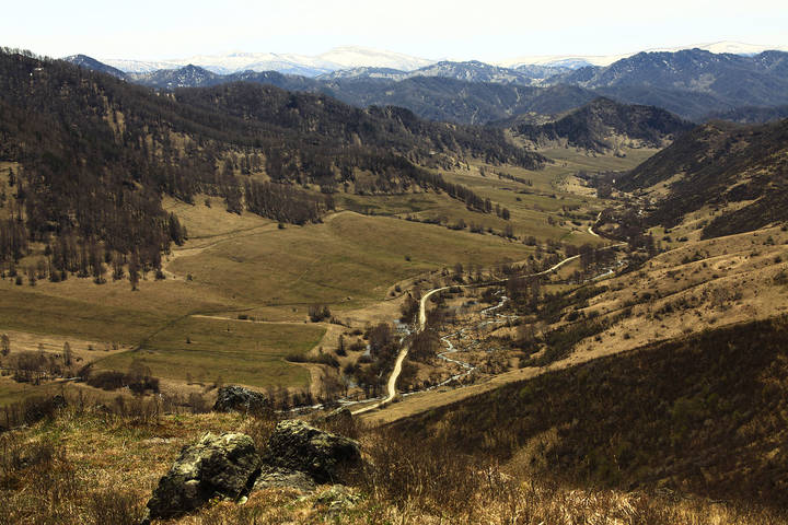 Дорога в ущелье (Чарышский район, Алтайский край)