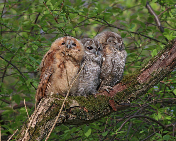 # 1