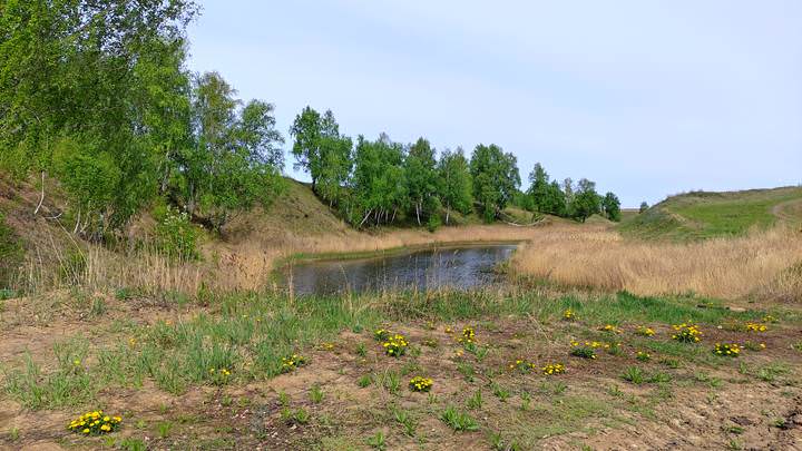 На реке Тарбуга