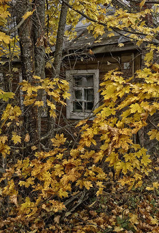 "Долгие бороды" 2016